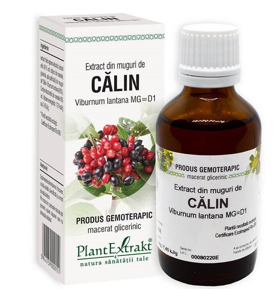 Extract din muguri de calin 50ml - Plantextrakt