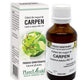 Extract din muguri de carpen 50ml - Plantextrakt
