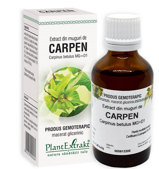 Extract din muguri de carpen 50ml - Plantextrakt