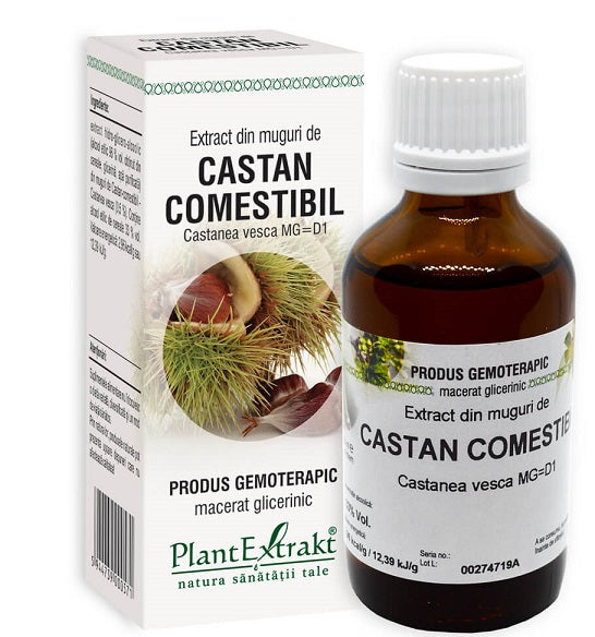 Extract din muguri de castan comestibil 50ml - Plantextrakt