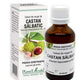Extract din muguri de castan salbatic 50ml - Plantextrakt