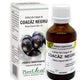 Extract din muguri de coacaz negru 50ml - Plantextrakt