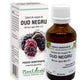 Extract din muguri de dud negru 50ml - Plantextrakt