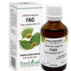 Extract din muguri de fag 50ml - Plantextrakt