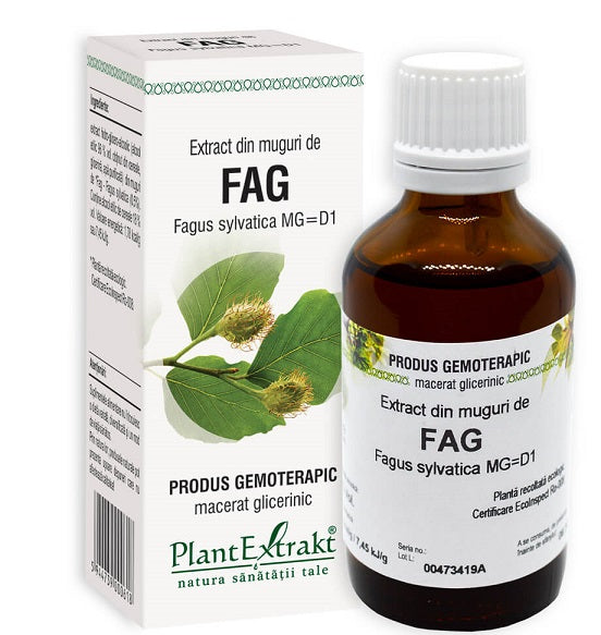 Extract din muguri de fag 50ml - Plantextrakt