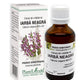 Extract din mladite de iarba neagra 50ml - Plantextrakt