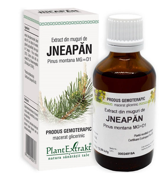 Extract din Muguri de Jneapan, 50 ml-PLAX.00056