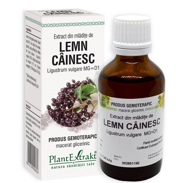 Extract din mladite de lemn cainesc 50ml - Plantextrakt