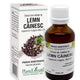 Extract din mladite de lemn cainesc 50ml - Plantextrakt