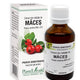 Extract din mladite de maces 50ml - Plantextrakt