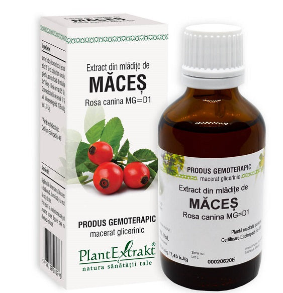 Extract din mladite de maces 50ml - Plantextrakt