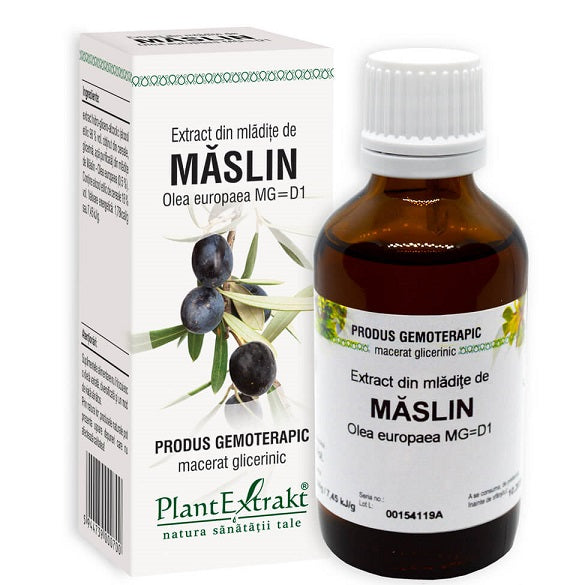 Extract din mladite de maslin 50ml - Plantextrakt