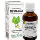 Extract din muguri de mesteacan 50ml - Plantextrakt