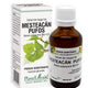Extract din muguri de mesteacan pufos 50ml - Plantextrakt