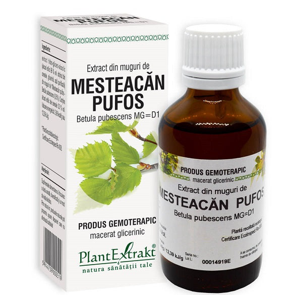 Extract din muguri de mesteacan pufos 50ml - Plantextrakt