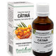 Extract din muguri de catina 50ml - Plantextrakt