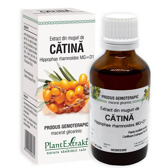 Extract din muguri de catina 50ml - Plantextrakt