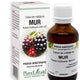 Extract din mladite de mur 50ml - Plantextrakt