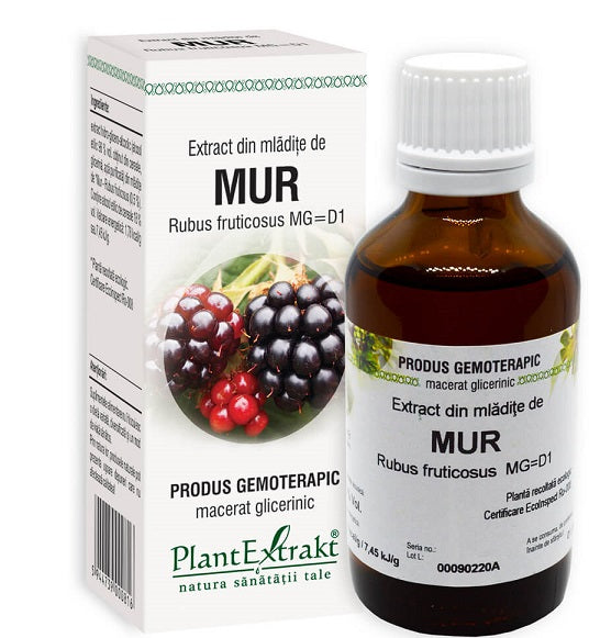 Extract din mladite de mur 50ml - Plantextrakt