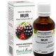 Extract din mladite de mur 50ml - Plantextrakt