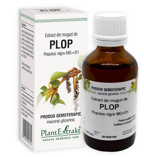 Extract din muguri de plop 50ml - Plantextrakt