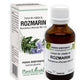 Extract din mladite de rozmarin 50ml - Plantextrakt
