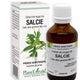 Extract din muguri de salcie 50ml - Plantextrakt