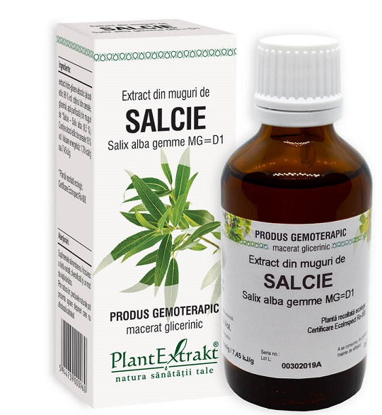 Extract din muguri de salcie 50ml - Plantextrakt