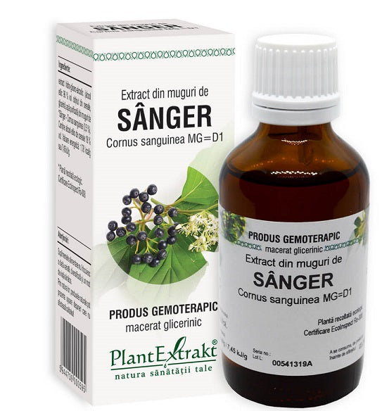 Extract din muguri de sanger 50ml - Plantextrakt