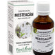Extract din seva de mesteacan 50ml - Plantextrakt