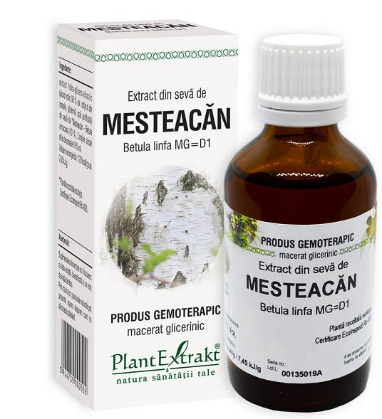 Extract din seva de mesteacan 50ml - Plantextrakt