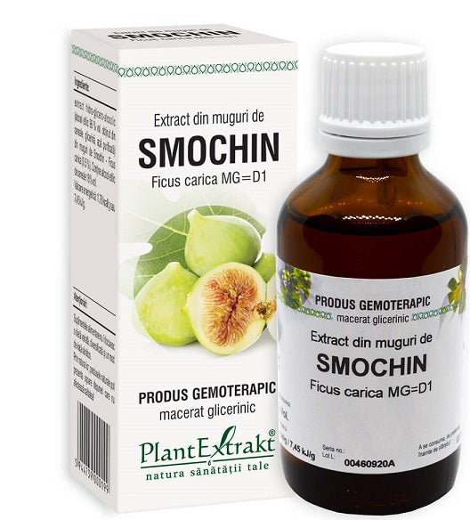 Extract din Muguri de Smochin, 50 ml-PLAX.00076