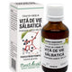 Extract din mladite de vita de vie salbatica 50ml - Plantextrakt