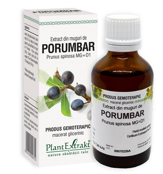 Extract din muguri de porumbar 50ml - Plantextrakt
