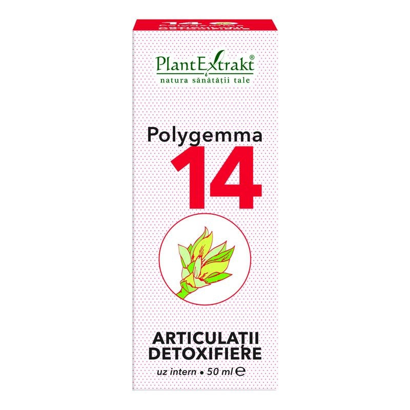 Polygemma 14 Articulatii Detoxifiere, 50 ml-PLAX.00125