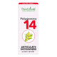 Polygemma 14 articulatii detoxifiere 50ml - Plantextrakt