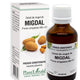 Extract din muguri de migdal 50ml - Plantextrakt