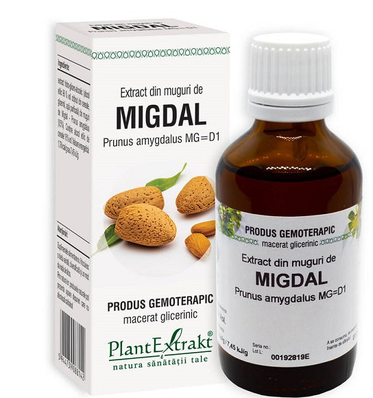 Extract din muguri de migdal 50ml - Plantextrakt