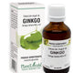 Extract din muguri de ginkgo biloba 50ml - Plantextrakt