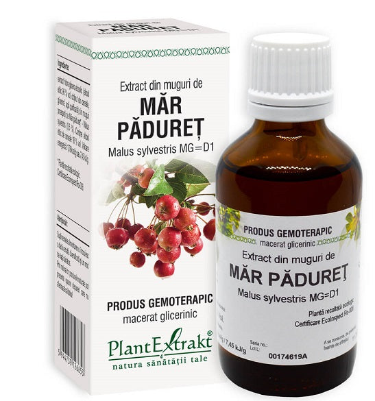 Extract din muguri de mar paduret 50ml - Plantextrakt