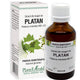 Extract din muguri de platan 50ml - Plantextrakt