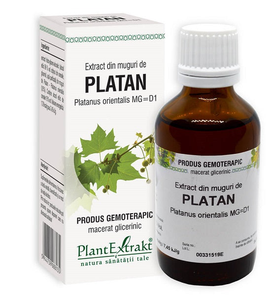 Extract din muguri de platan 50ml - Plantextrakt