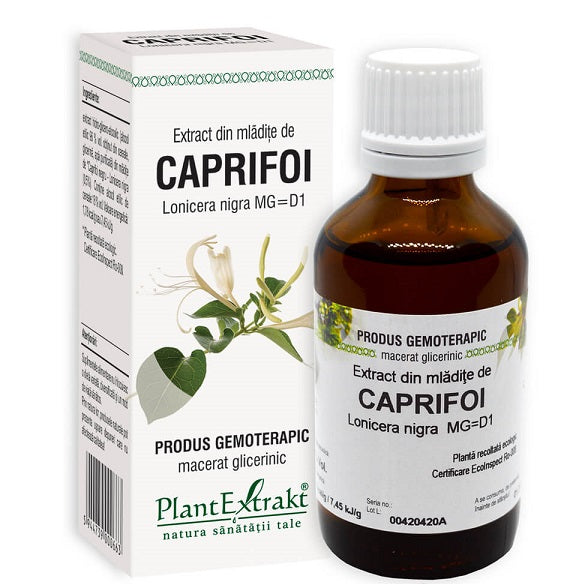 Extract din mladite de caprifoi 50ml - Plantextrakt