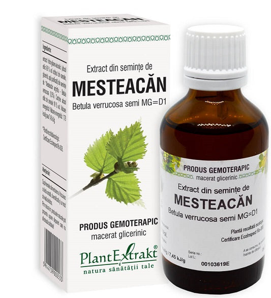Extract din seminte de mesteacan 50ml - Plantextrakt
