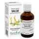 Extract din amenti de salcie 50ml - Plantextrakt