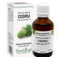 Extract din mladite de cedru 50ml - Plantextrakt
