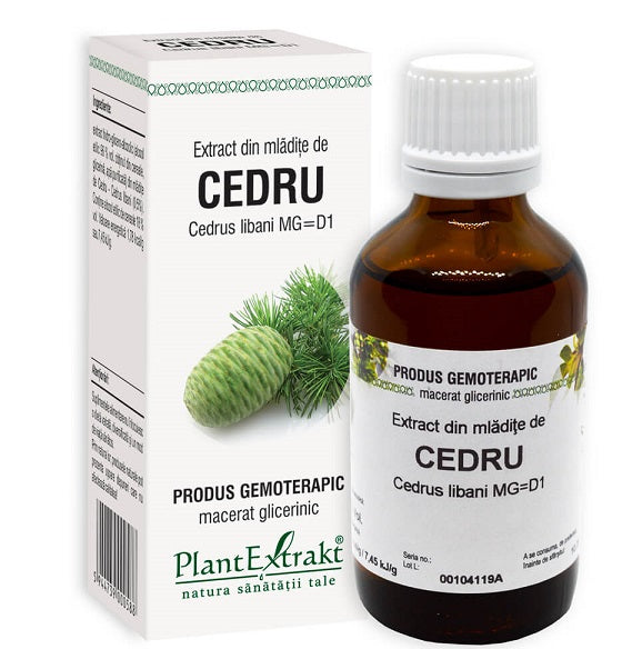 Extract din mladite de cedru 50ml - Plantextrakt
