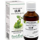 Extract din muguri de ulm 50ml - Plantextrakt