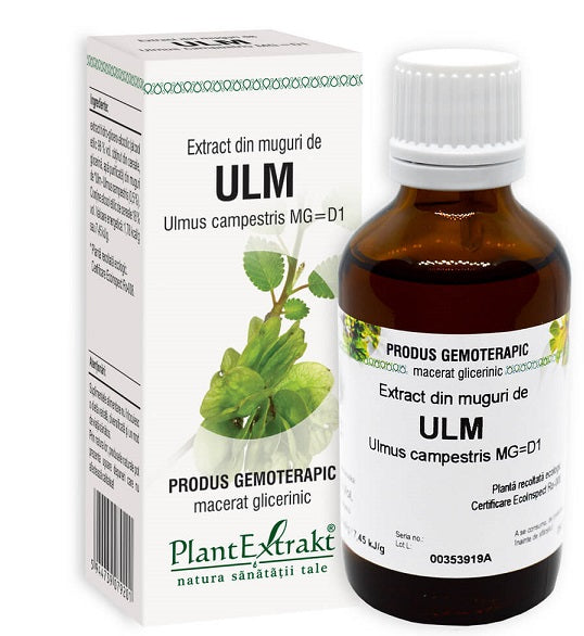 Extract din muguri de ulm 50ml - Plantextrakt