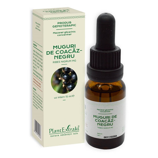 Concentrat muguri coacaz negru 15ml - Plantextrakt